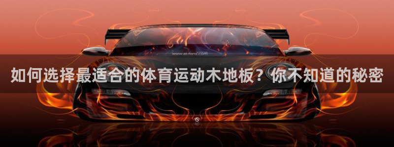 德国米兰体育官方正版app集团:如何选择最适合的体育运动木地
